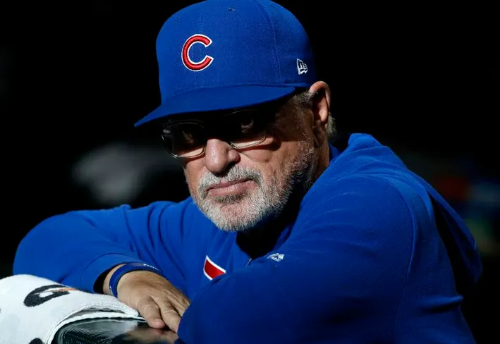 joe maddon

